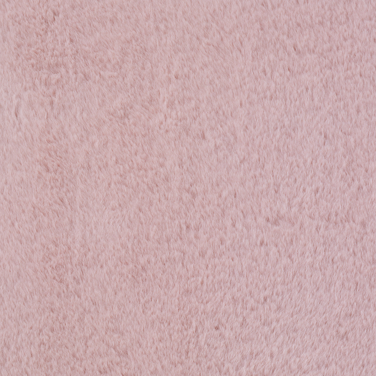 Ay Yıldız Joy 1400 Rose