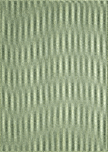 Merinos Maestro 22548 40-Green